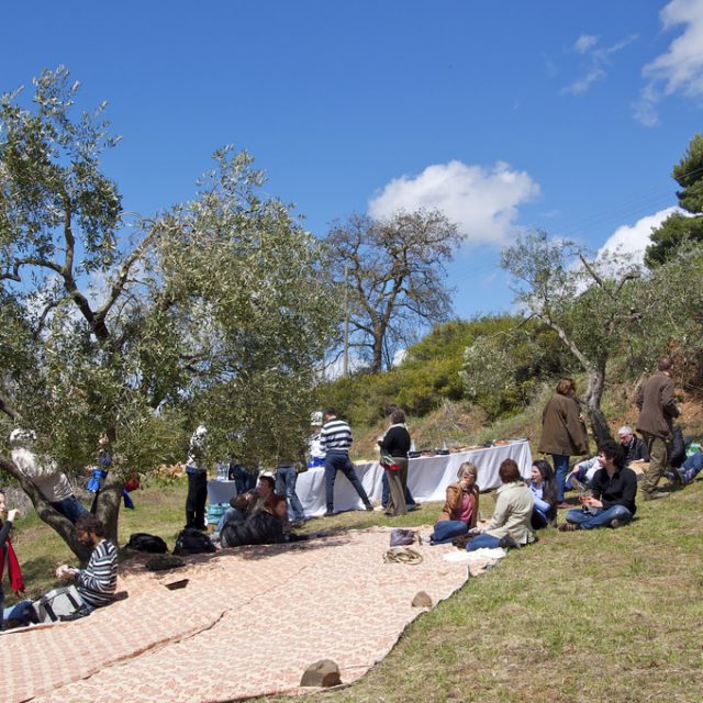 Pic Nic Fattoria La Maliosa
