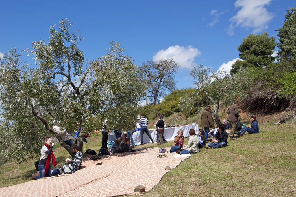 Pic Nic Fattoria La Maliosa