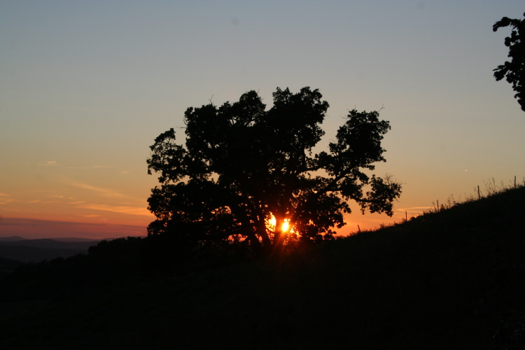 la grande quercia