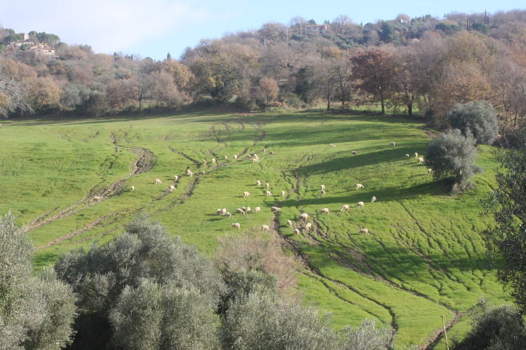 erosioni importanti in Maremma collinare