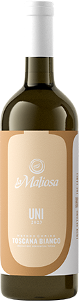La-Maliosa-UNI
